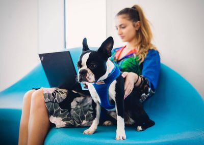 How do I convince my manager to let me bring my dog to work?